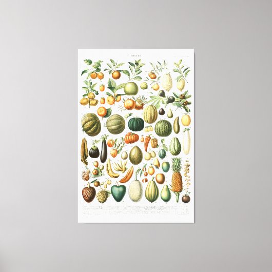 Adolphe Millot maakt Canvas Print (Voorkant)