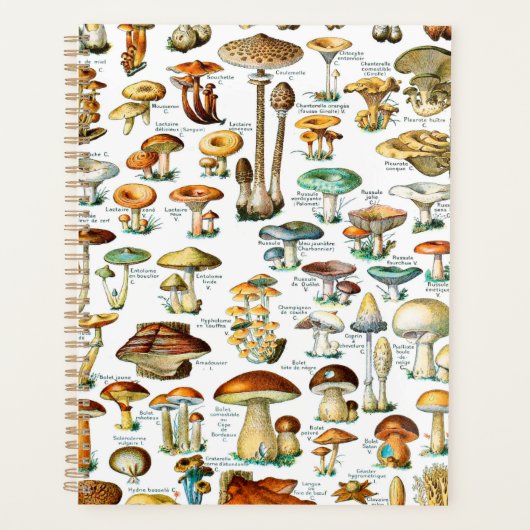 Adolphe Millot "Mushrooms" 3b Planner (Voorkant)