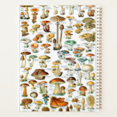 Adolphe Millot "Mushrooms" 3b Planner (Achterkant)