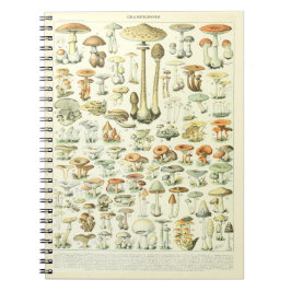 Adolphe Millot Notitieboek Mushrooms Patroon