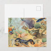 Adolphe Millot oceaan B Briefkaart (Voorkant / Achterkant)