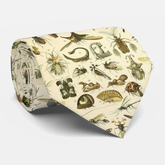 Adolphe Millot origineel - insecten  Stropdas (Opgerold)