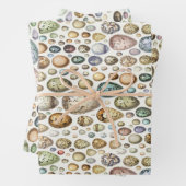 Adolphe Millot Ouefs Eggs Inpakpapier Vel (In situ)