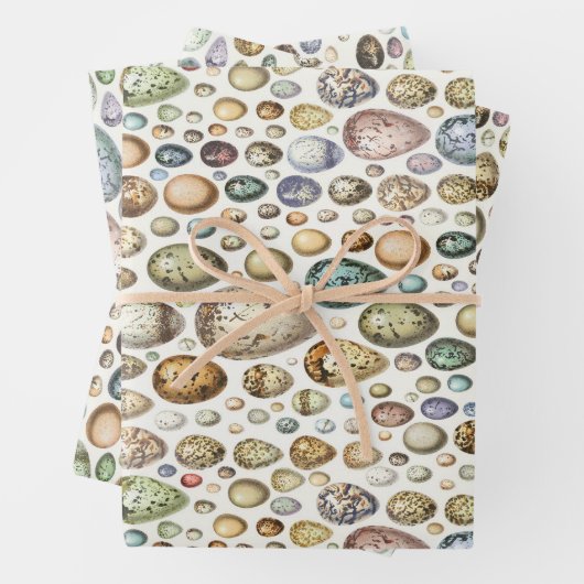 Adolphe Millot Ouefs Eggs Inpakpapier Vel (In situ)