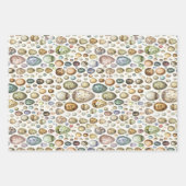 Adolphe Millot Ouefs Eggs Inpakpapier Vel (Voorkant)