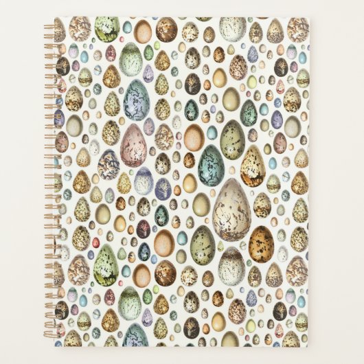 Adolphe Millot Ouefs Eggs Planner (Voorkant)