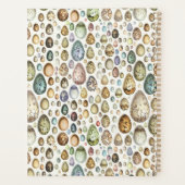 Adolphe Millot Ouefs Eggs Planner (Achterkant)