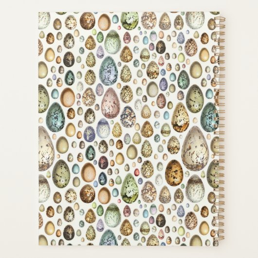 Adolphe Millot Ouefs Eggs Planner (Achterkant)