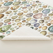 Adolphe Millot Ouefs Eggs Sherpa Deken (3/4)