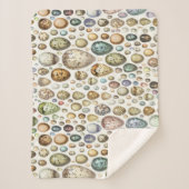 Adolphe Millot Ouefs Eggs Sherpa Deken (Voorkant)