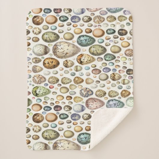 Adolphe Millot Ouefs Eggs Sherpa Deken (Voorkant)