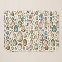 Adolphe Millot Ouefs Eggs
