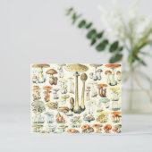 Adolphe Millot paddenstoel B Briefkaart (Staand voorkant)