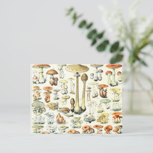 Adolphe Millot paddenstoel B Briefkaart (Staand voorkant)