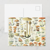 Adolphe Millot paddenstoel B Briefkaart (Voorkant / Achterkant)