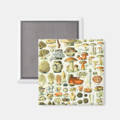 Adolphe Millot paddenstoel Magneet (Voorkant / Achterkant)