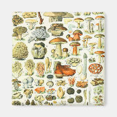 Adolphe Millot paddenstoel Magneet (Voorkant)