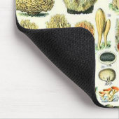 Adolphe Millot paddenstoel Muismat (Hoek)