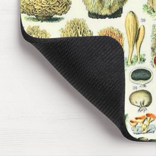 Adolphe Millot paddenstoel Muismat (Hoek)