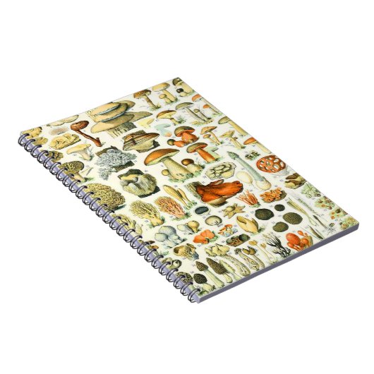 Adolphe Millot paddenstoel Notitieboek (Rechterzijde)