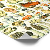 Adolphe Millot paddenstoel Poster (Hoek)