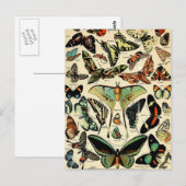 Adolphe Millot Papillons Briefkaart (Voorkant / Achterkant)