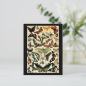 Adolphe Millot Papillons Briefkaart (Staand voorkant)