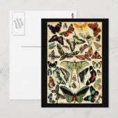 Adolphe Millot Papillons Briefkaart (Voorkant / Achterkant)