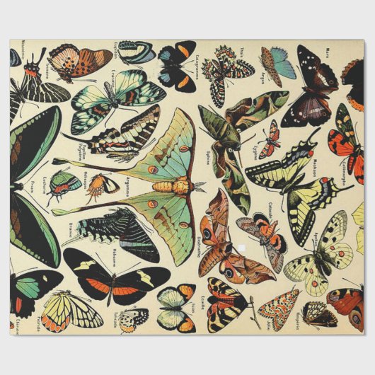 Adolphe Millot Papillons Wrapping Paper Cadeaupapier (Vlak)