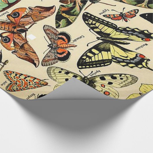 Adolphe Millot Papillons Wrapping Paper Cadeaupapier (Hoek)