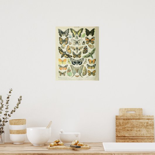 Adolphe Millot Print Butterflies Pattern-A (Keuken)