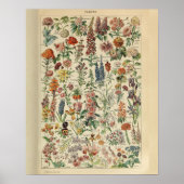  Adolphe Millot Print Flowers (Voorkant)
