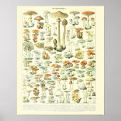 Adolphe Millot Print Mushrooms Poster 2 (Voorkant)