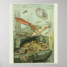 Adolphe Millot Print weekdierpatroon