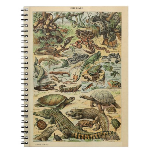 Adolphe Millot Reptile Pattern Notitieboek (Voorkant)