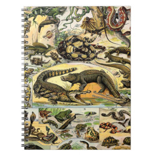Adolphe Millot Reptiles 1 Notitieboek