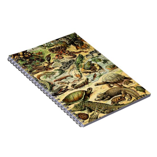 Adolphe Millot Reptiles 2 Notitieboek (Rechterzijde)