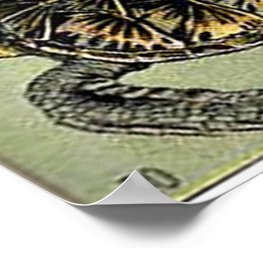 Adolphe Millot Reptiles Poster (Hoek)