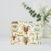 Adolphe Millot schaalaces Briefkaart (Staand voorkant)