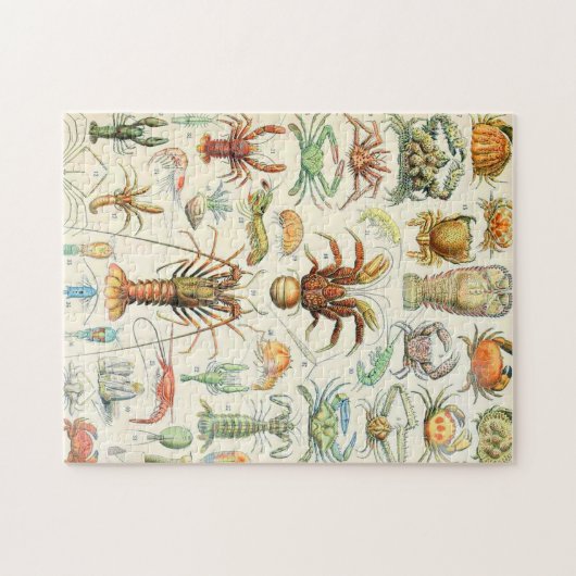 Adolphe Millot schaalaces Legpuzzel (Horizontaal)