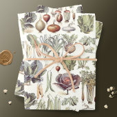 Adolphe Millot Vegetable Pattern Inpakpapier Vel