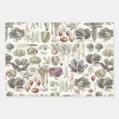 Adolphe Millot Vegetable Pattern Inpakpapier Vel (Voorkant 3)
