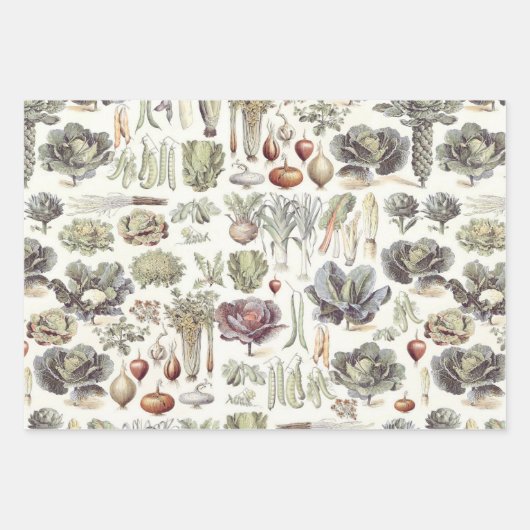 Adolphe Millot Vegetable Pattern Inpakpapier Vel (Voorkant 3)