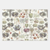 Adolphe Millot Vegetable Pattern Inpakpapier Vel (Voorkant 2)