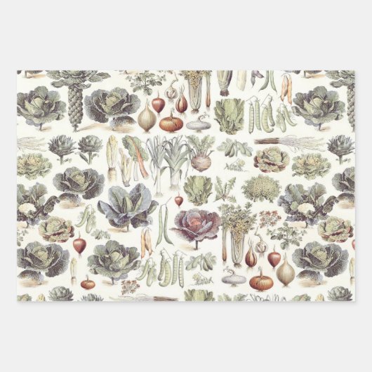 Adolphe Millot Vegetable Pattern Inpakpapier Vel (Voorkant 2)
