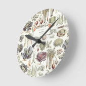 Adolphe Millot Vegetable Pattern  Ronde Klok (Hoek)