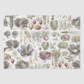 Adolphe Millot Vegetable Pattern Tissuepapier (Voorkant)