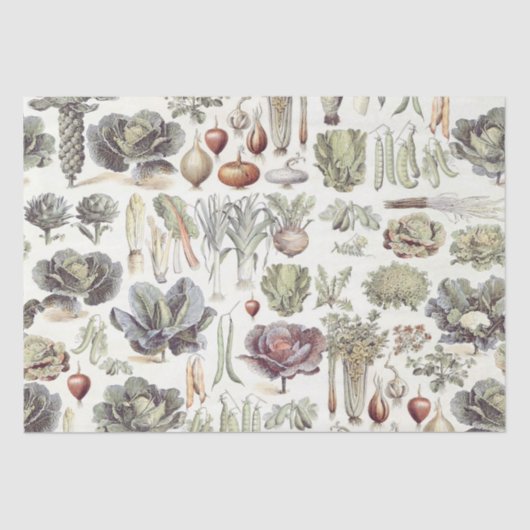 Adolphe Millot Vegetable Pattern Tissuepapier (Voorkant)