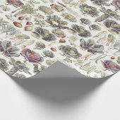Adolphe Millot Vegetable Pattern Wrapping Paper Cadeaupapier (Hoek)