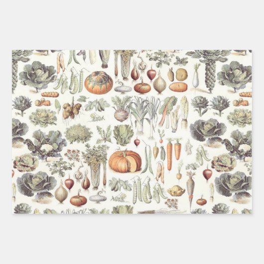 Adolphe Millot Vegetable Pattern Wrapping Paper Sh (Voorkant 3)